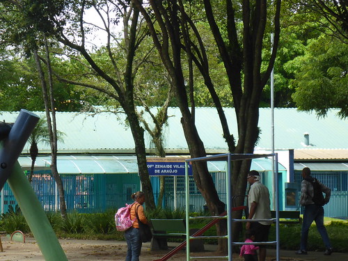 School in the park